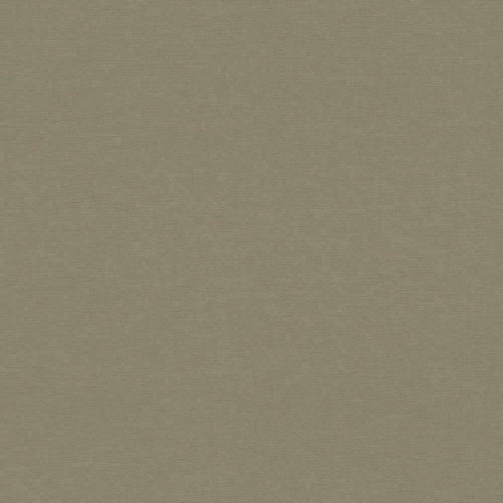 Antigua - Plain Satisfaction plain wallpaper AS Creation Roll Dark Green  390975