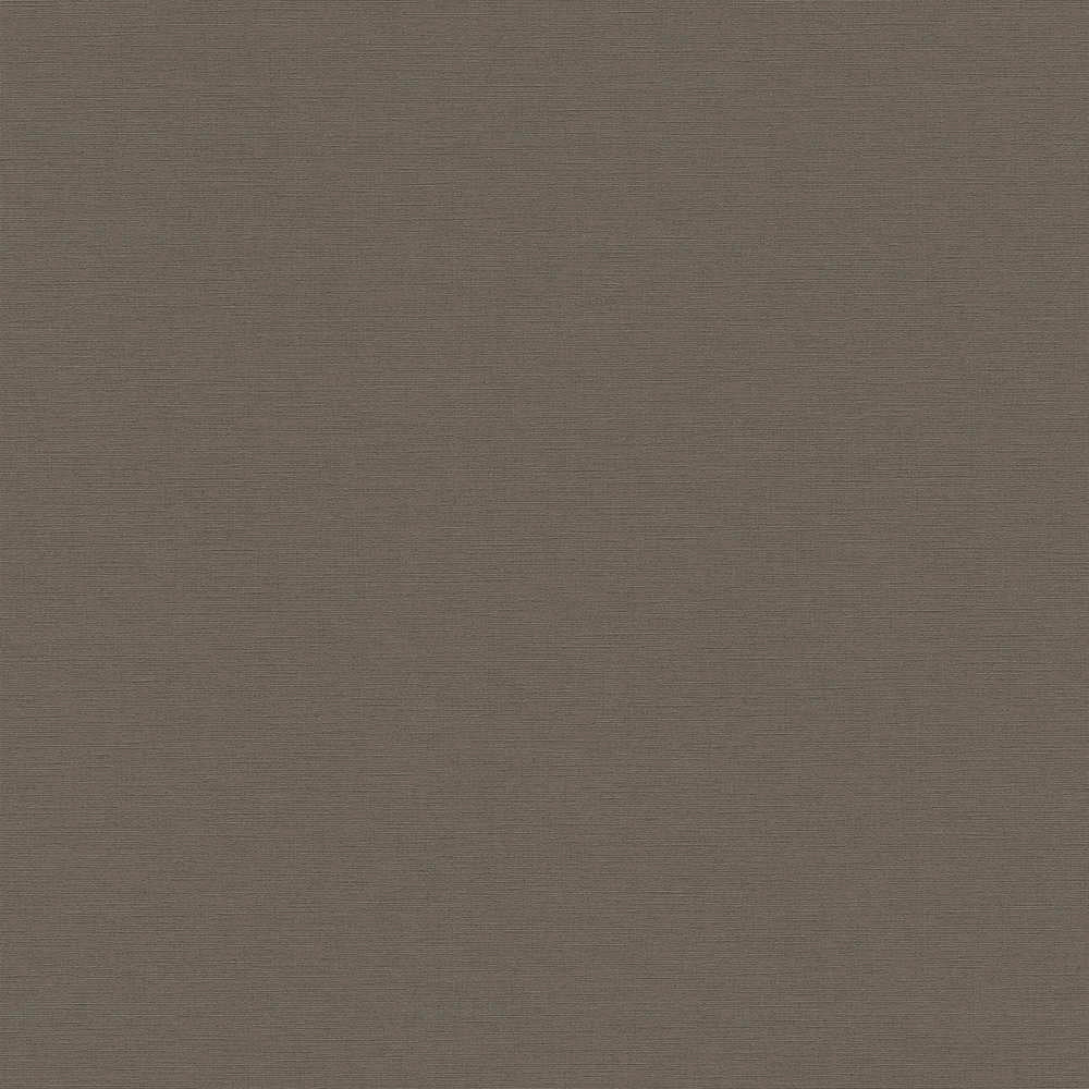 Antigua - Plain Satisfaction plain wallpaper AS Creation Roll Brown  390977