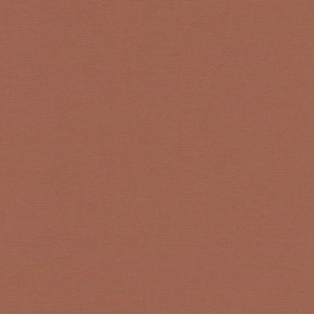 Antigua - Plain Satisfaction plain wallpaper AS Creation Roll Dark Orange  390978