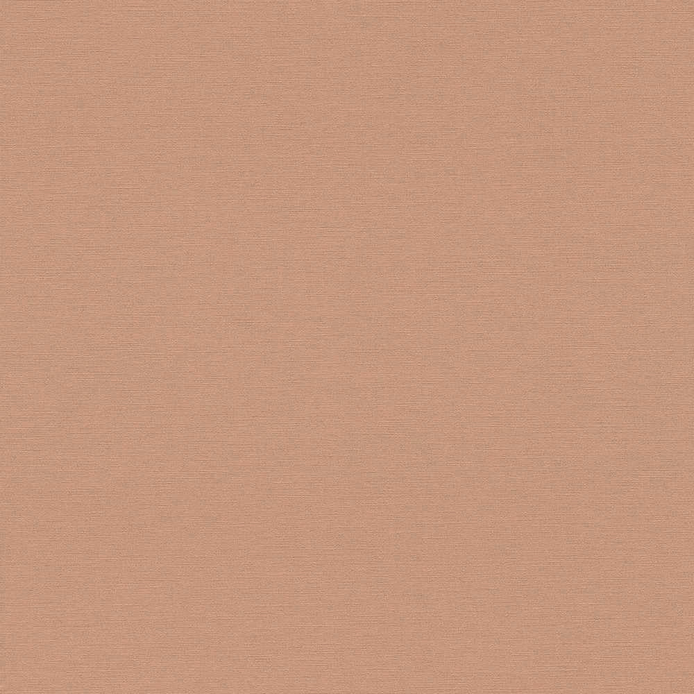 Antigua - Plain Satisfaction plain wallpaper AS Creation Roll Taupe  390972