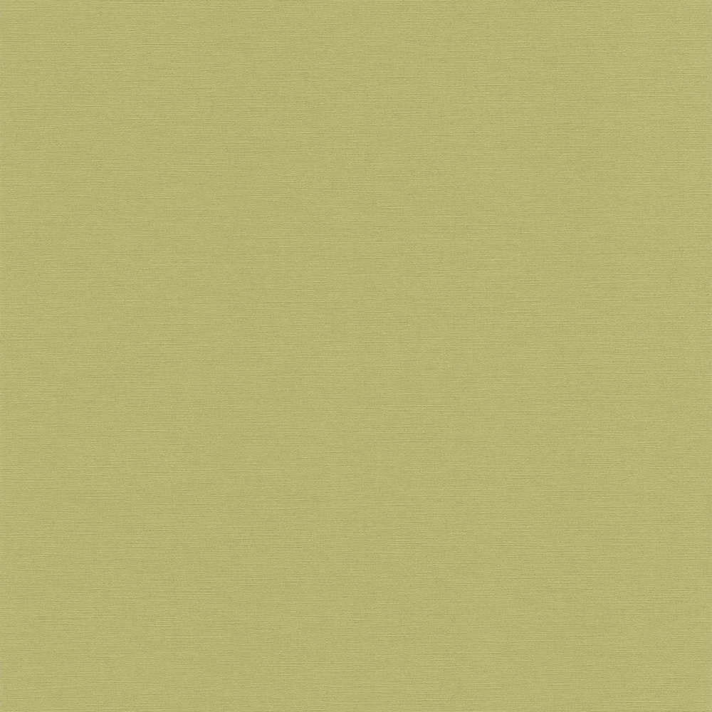 Antigua - Plain Satisfaction plain wallpaper AS Creation Roll Green  390974