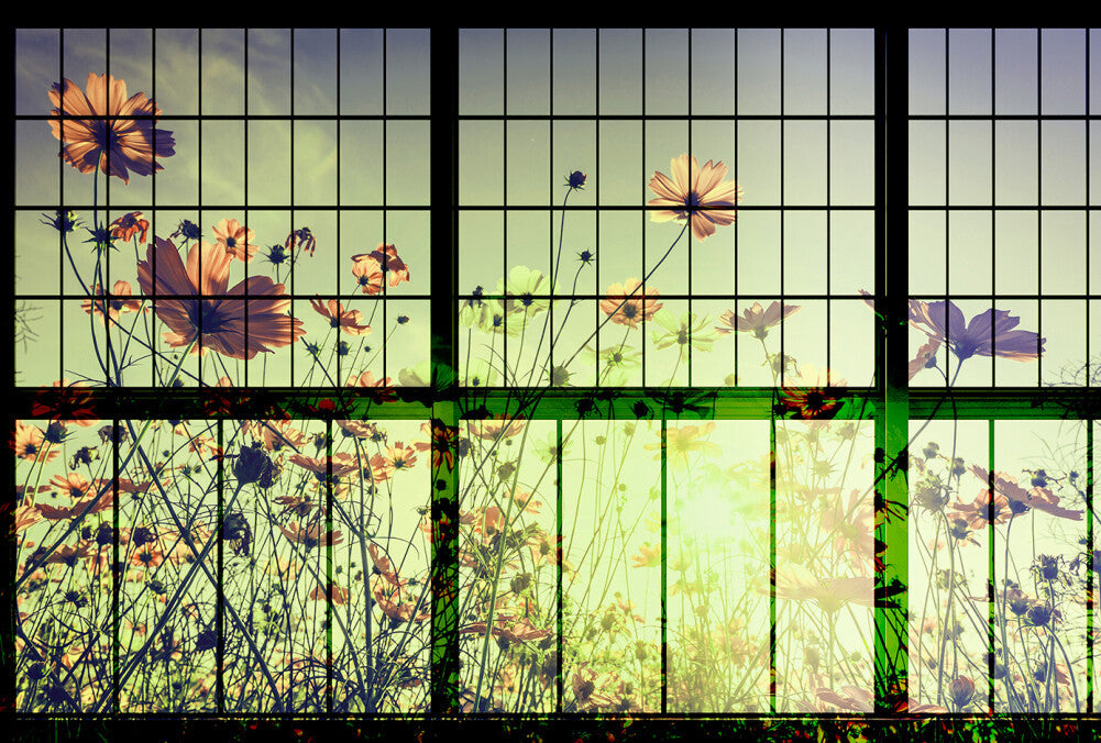 Walls by Patel 2 - Meadow digital print AS Creation Meadow 2   113752